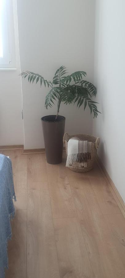 Apartman Taca Σουμπότικα Εξωτερικό φωτογραφία